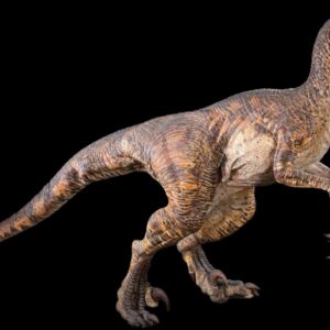 velociraptor