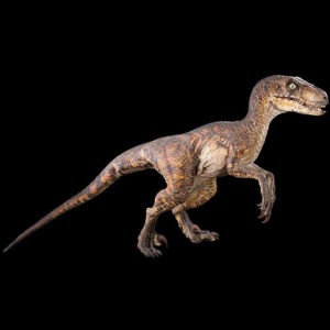 Velociraptor