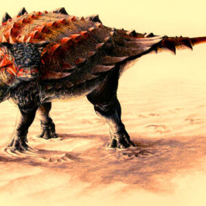 ankylosaurs