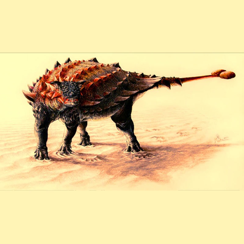 Ankylosaurs