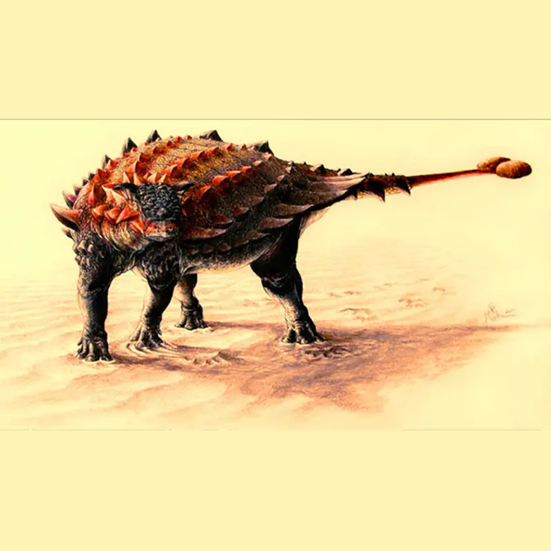Ankylosaurs