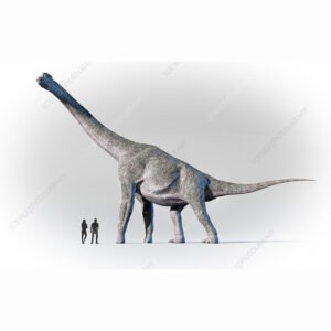 Brachiosaurus.