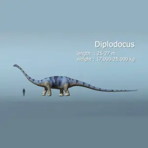 Diplodocus