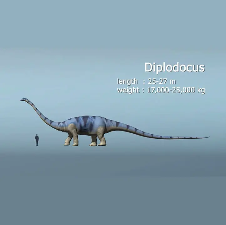 Diplodocus