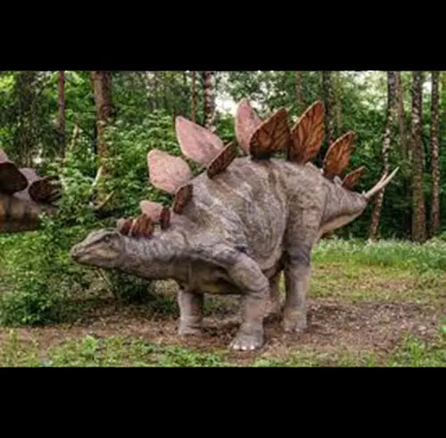 Stegosaurus