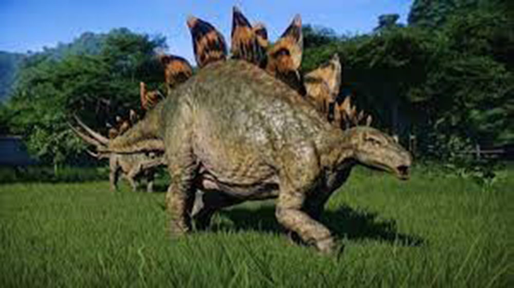 Stegosaurus - Image 3