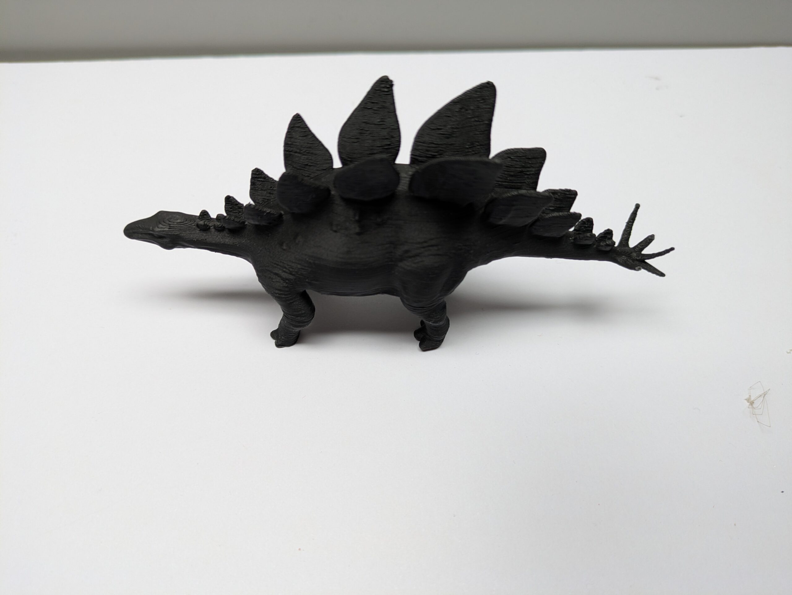 Stegosaurus - Image 5