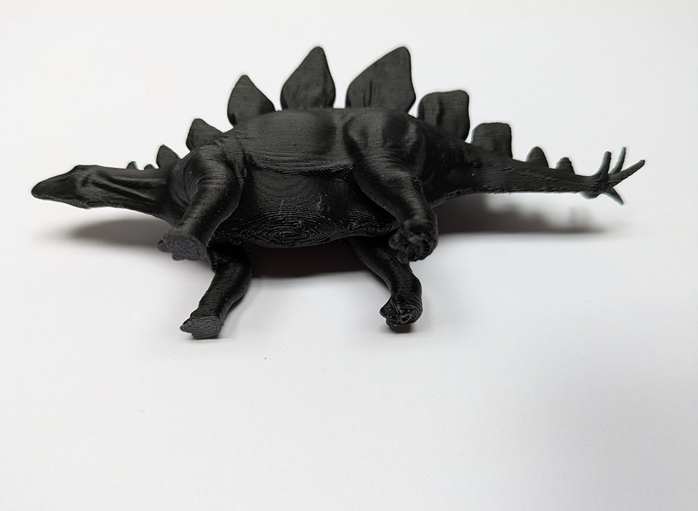 Stegosaurus - Image 6