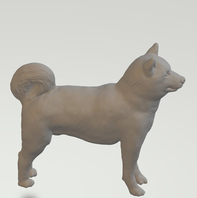 Akita dog