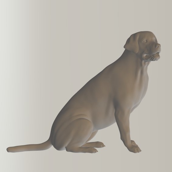 Labrador