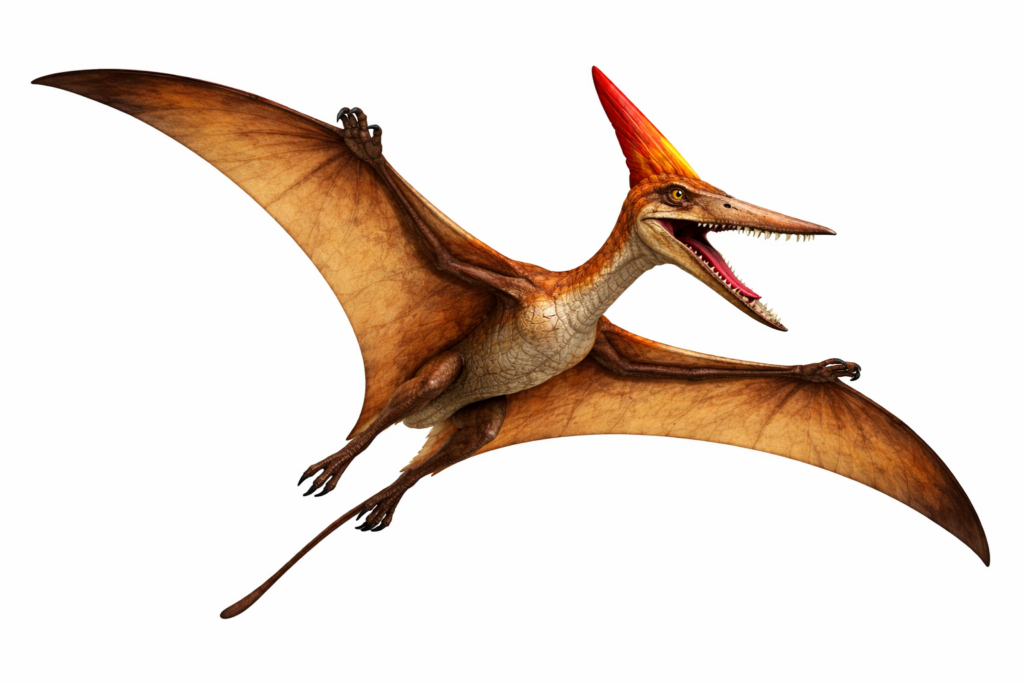 Pterodactyl