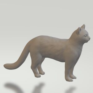 cat