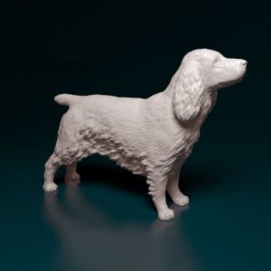 English-cocker