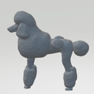 Poodle